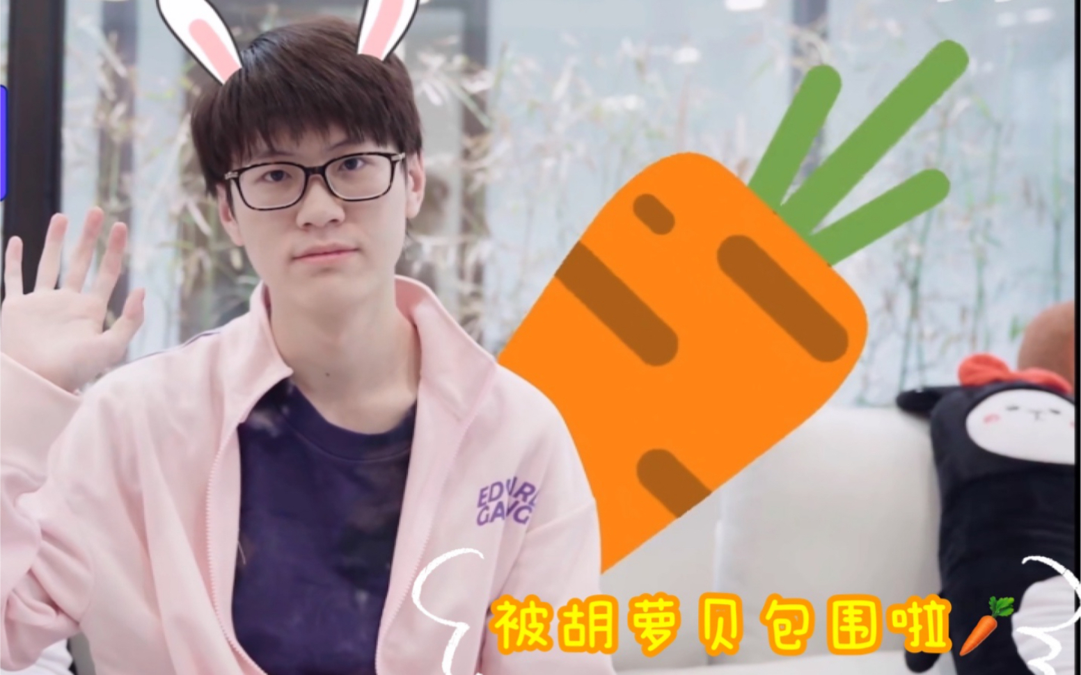 edgmeiko歪动物管理局吗请问下你们那兔子不吃胡萝贝要判多少年