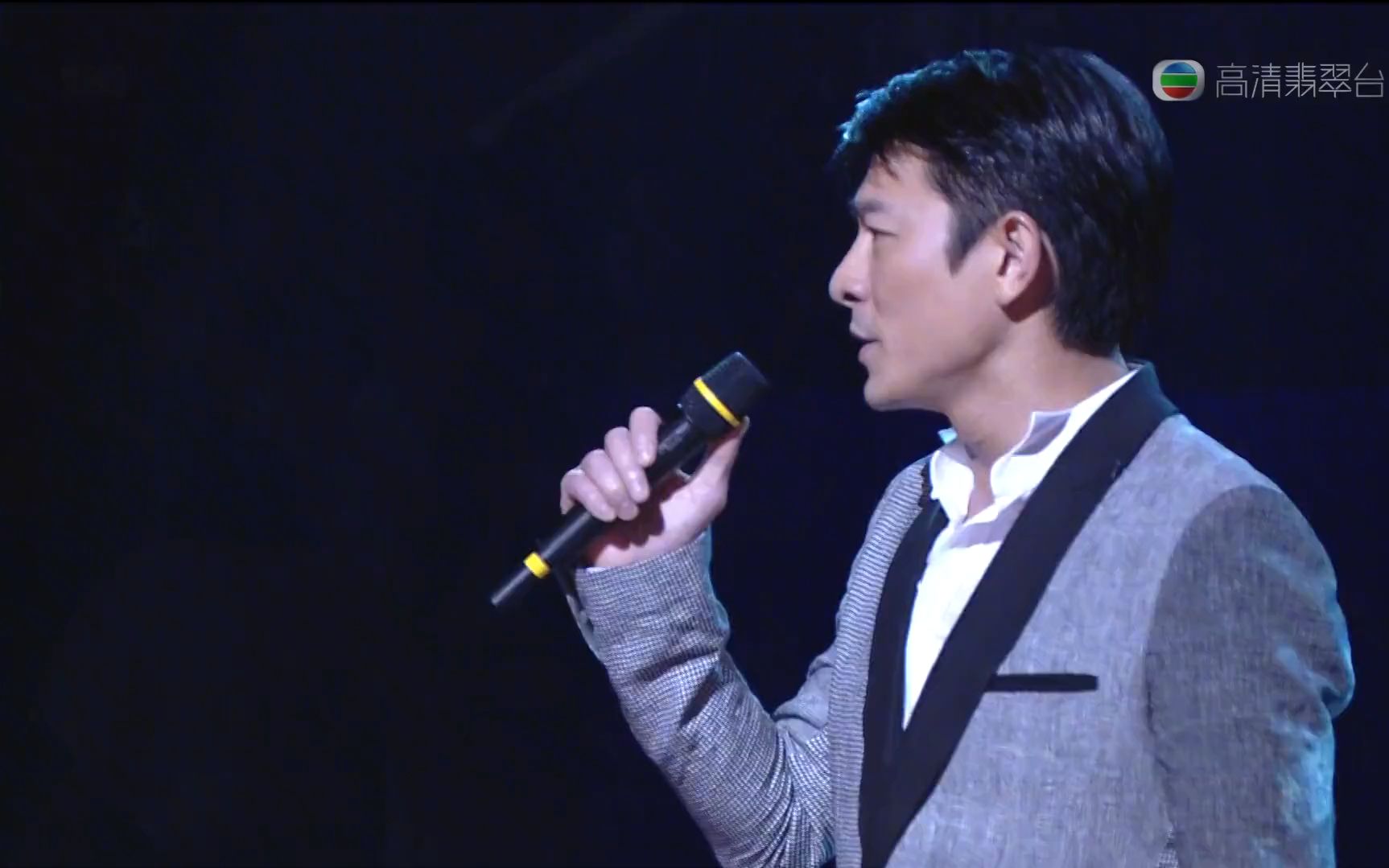 刘德华#百听不厌的旋律 #永远的偶像