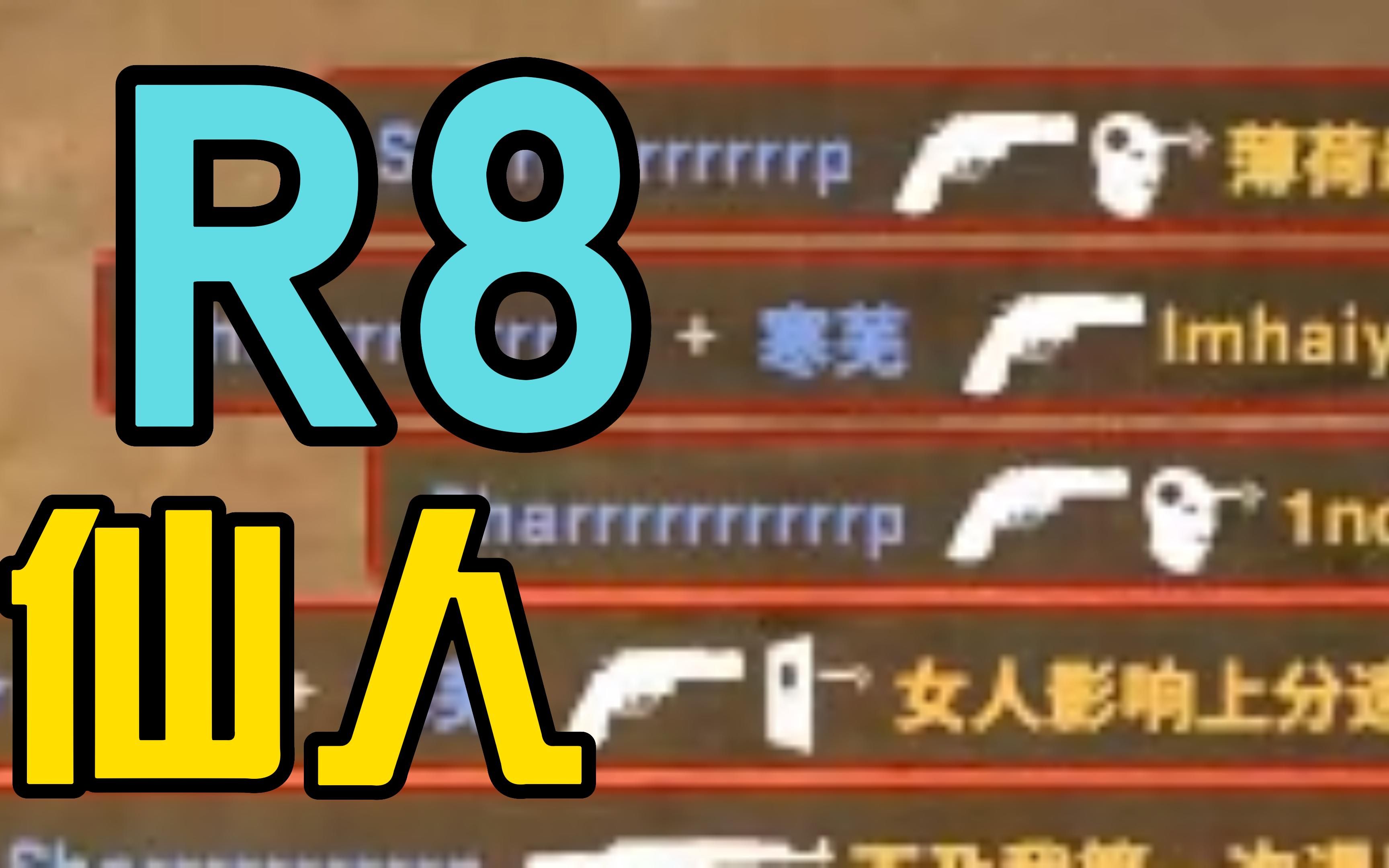 "r8比沙鹰更多可能"