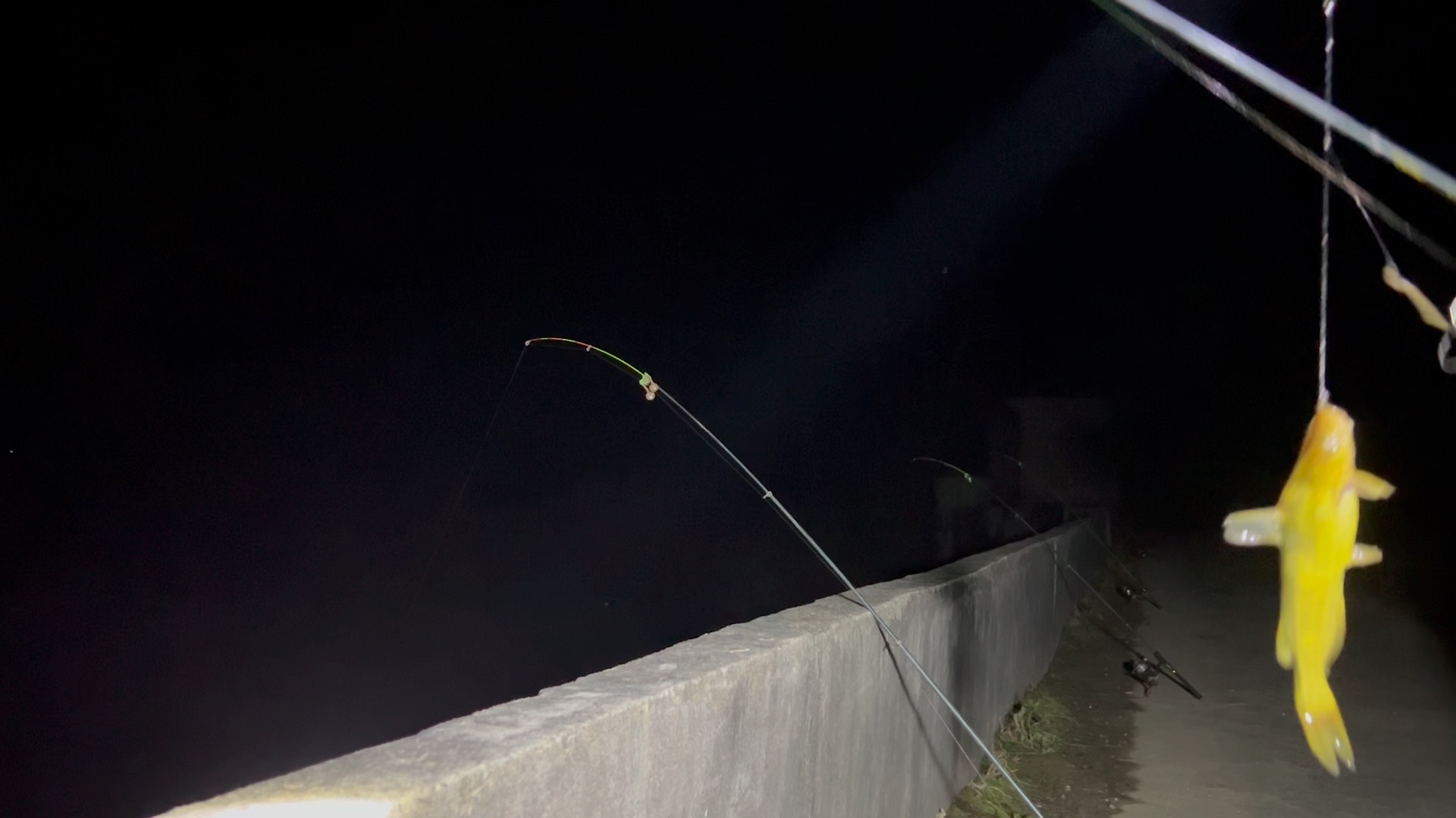 桥上夜钓黄骨鱼