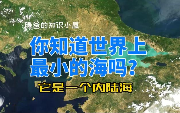 你知道世界上最小的海吗?哔哩哔哩bilibili