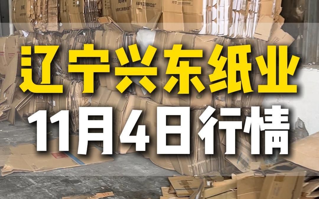 11月4日辽宁兴东纸业今日行情参考哔哩哔哩bilibili