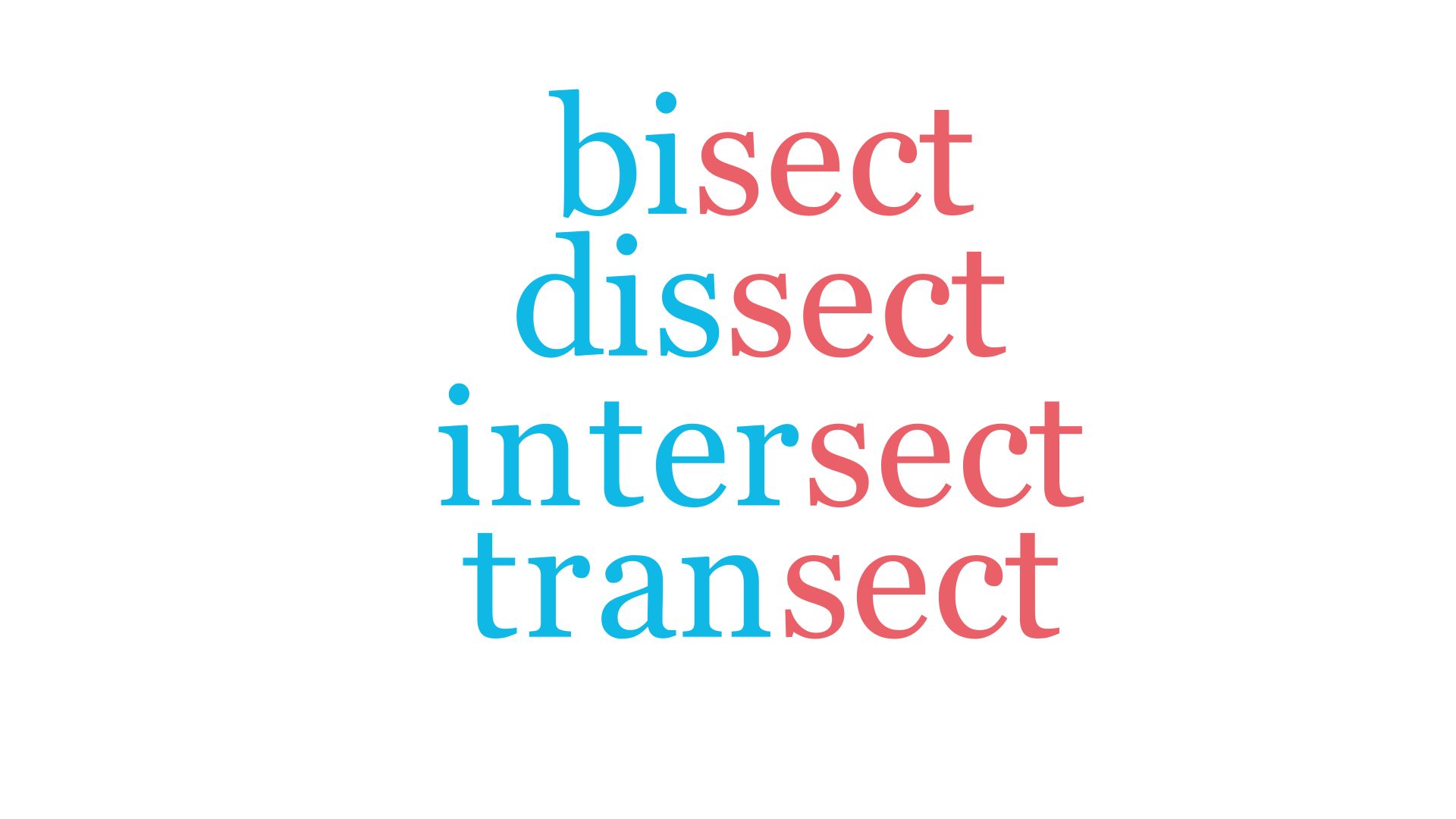 构词法——bisect、dissect、intersect、transect哔哩哔哩bilibili