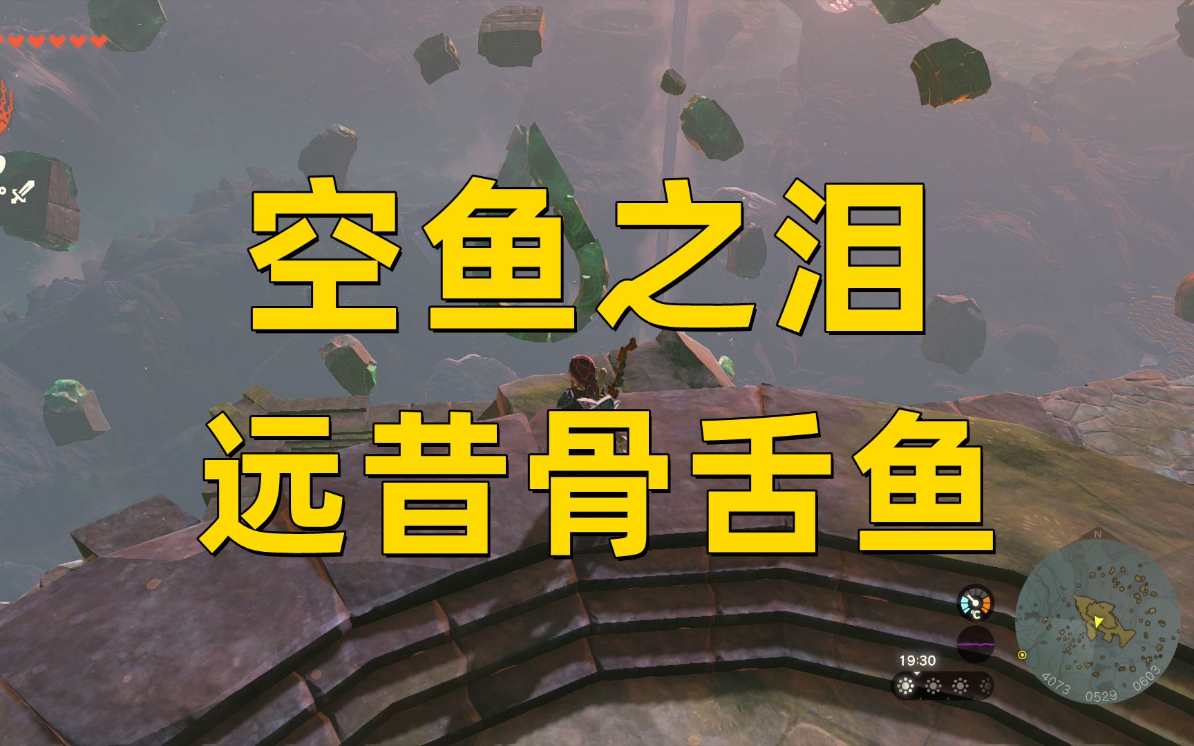 【王国之泪】空鱼之泪位置 远昔骨舌鱼获取哔哩哔哩bilibili塞尔达传说