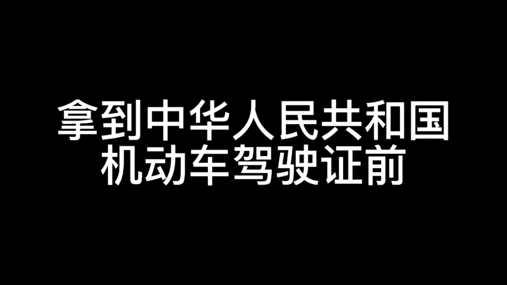 拿到驾照后,你是孙子我是爷哔哩哔哩bilibili