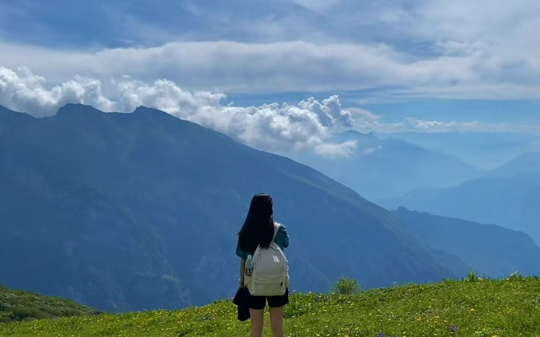 【雲旅遊 | 辭職宣傳片】