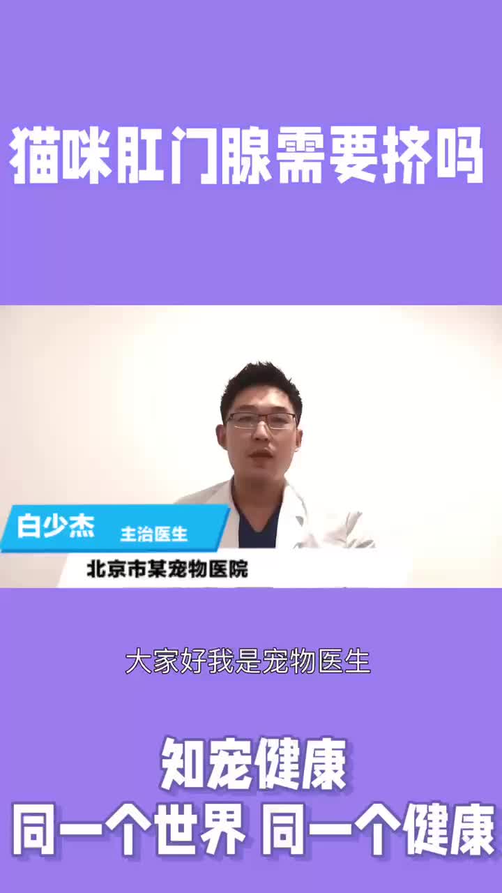 猫咪肛门腺需要挤吗哔哩哔哩bilibili