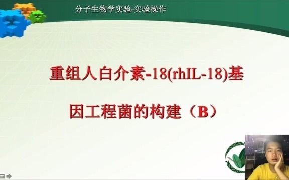 综合大实验项目'重组人白介素18(rhIL18)基因工程菌构建讲解哔哩哔哩bilibili