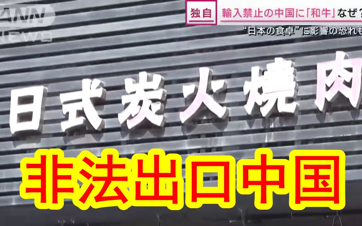 【中日双语】中国人吃的高级和牛都是非法进口的?日本牛农很森气「价格崩盘了我们怎么办?」哔哩哔哩bilibili