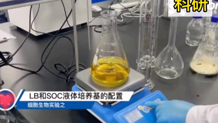 细胞实验LB和SCO液体培养基的配置#广州医瑞贝生物#科研#生物#实验哔哩哔哩bilibili