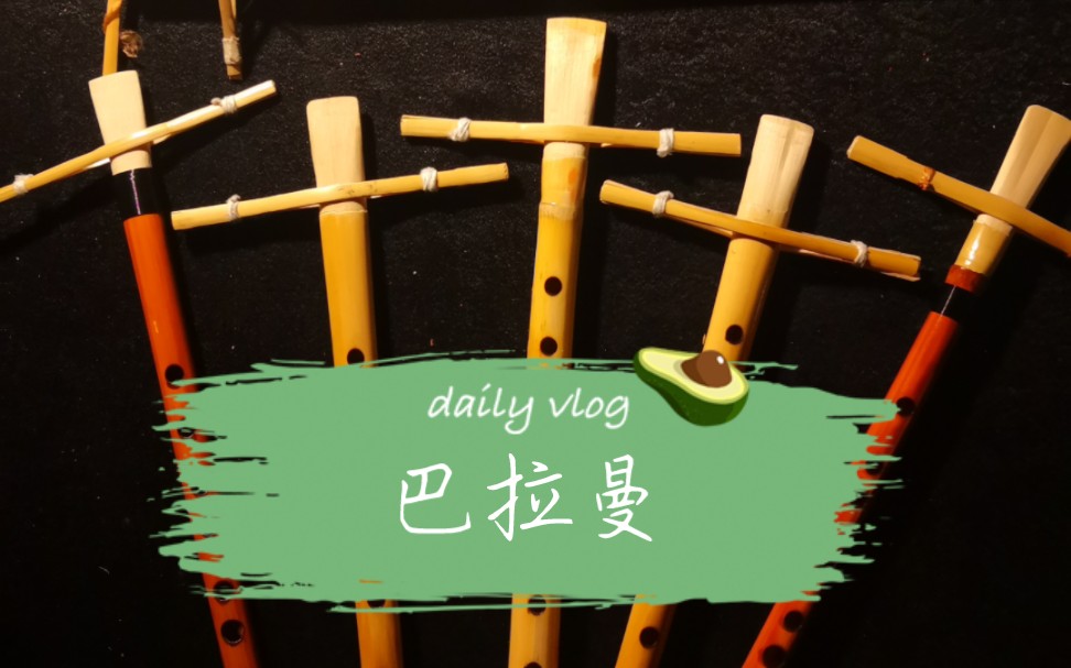 【巴拉曼】乐器介绍与制作方法_哔哩哔哩_bilibili