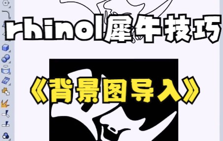 【rhino|犀牛技巧】犀牛软件背景图的导入哔哩哔哩bilibili