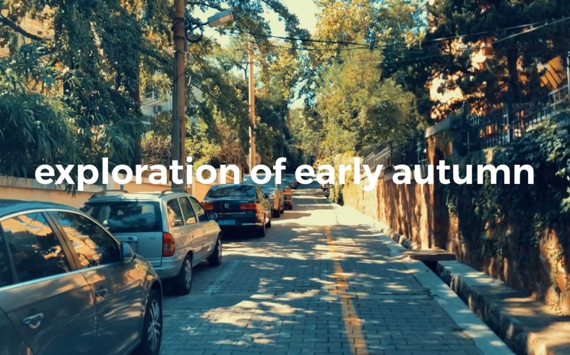 [图]探秘初秋——exploration of early autumn