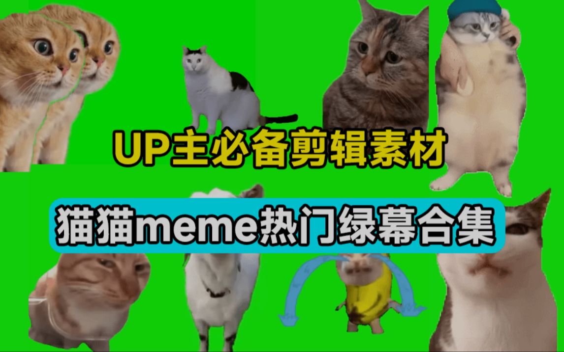 180套猫猫meme动态绿幕合集包,含背景图BGM,含使用教程哔哩哔哩bilibili