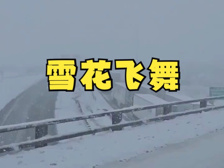 暴风雪席卷新墨西哥州多地哔哩哔哩bilibili