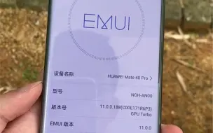 Descargar video: 安卓系统的mate40pro应该不多见了