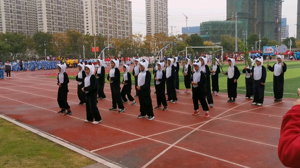 [图]运动会学生方阵表演熊猫舞