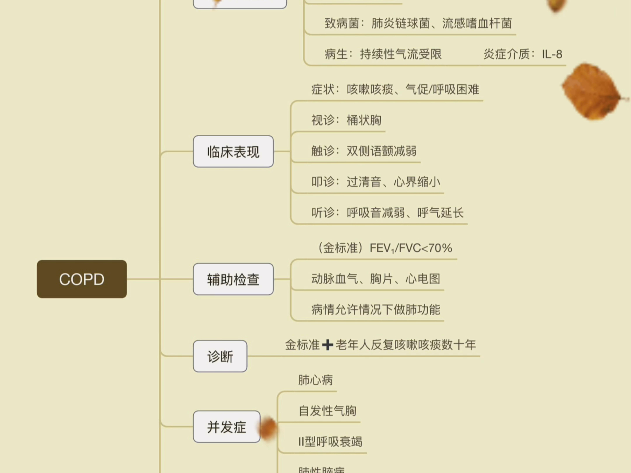 copd图片 手抄报图片