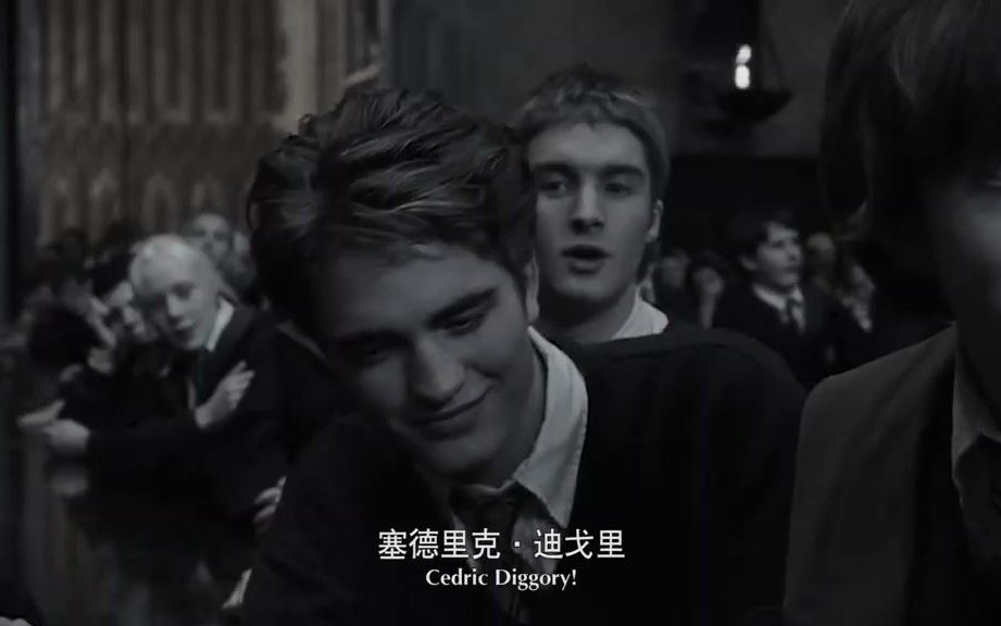 塞德里克有着赫奇帕奇学院所特有的品质,他是我们善良,忠诚的朋友