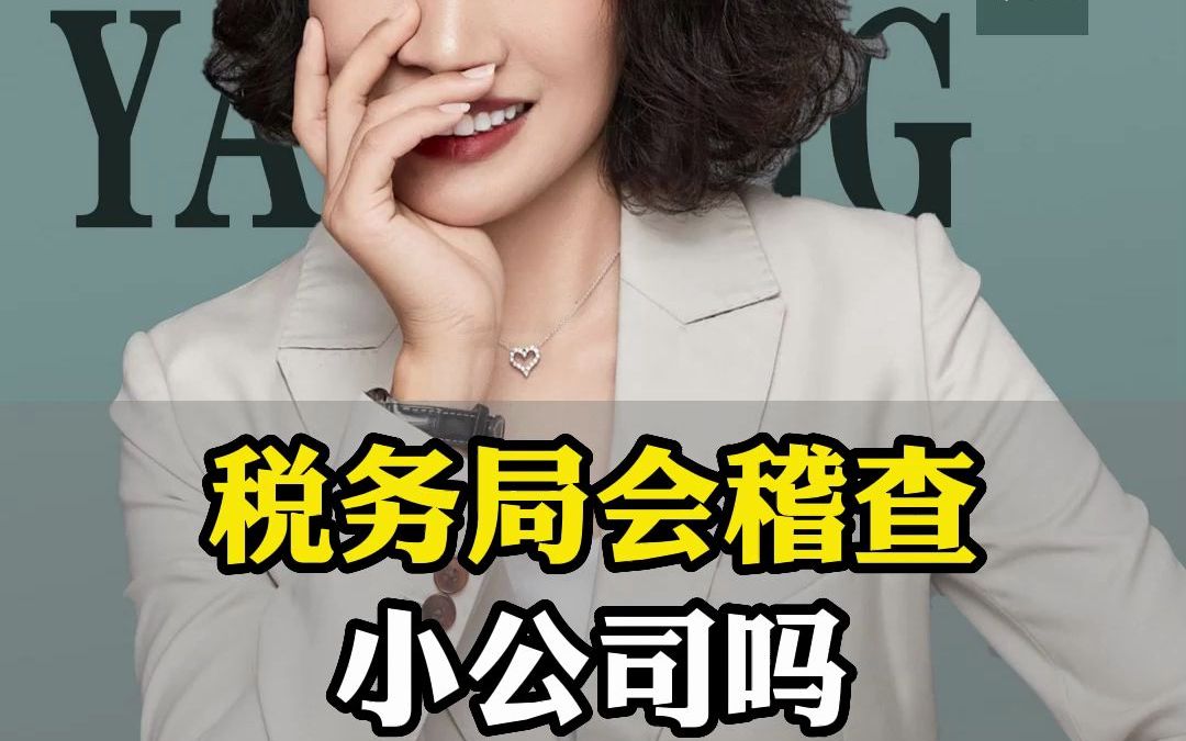 税务局会稽查小公司吗?哔哩哔哩bilibili