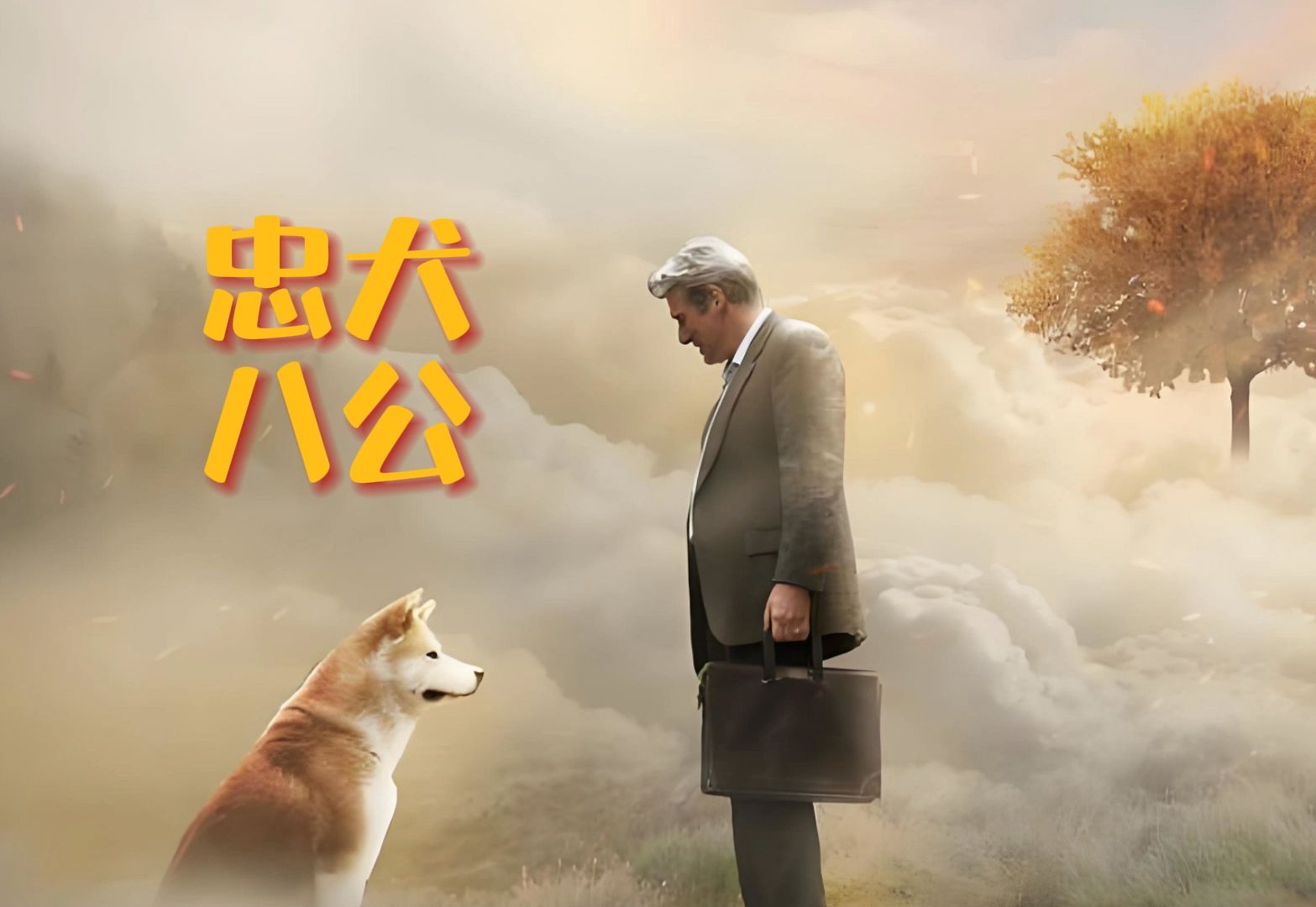 忠犬八公的感人故事!