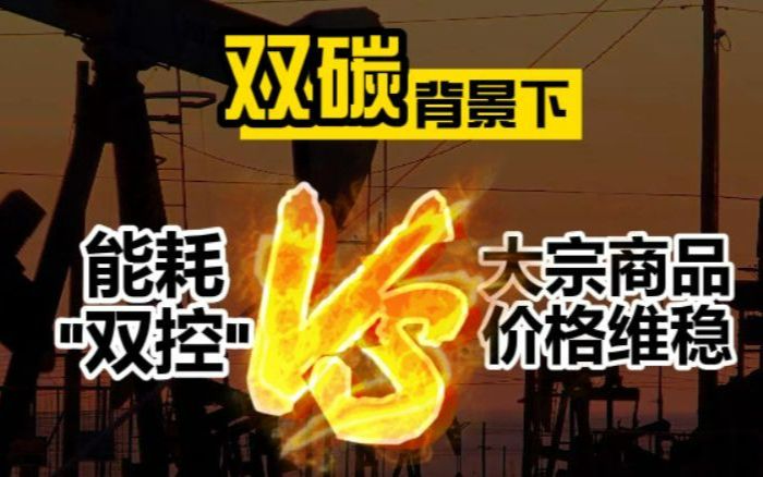 双碳背景下的能耗“双控” VS 维稳商品价格哔哩哔哩bilibili