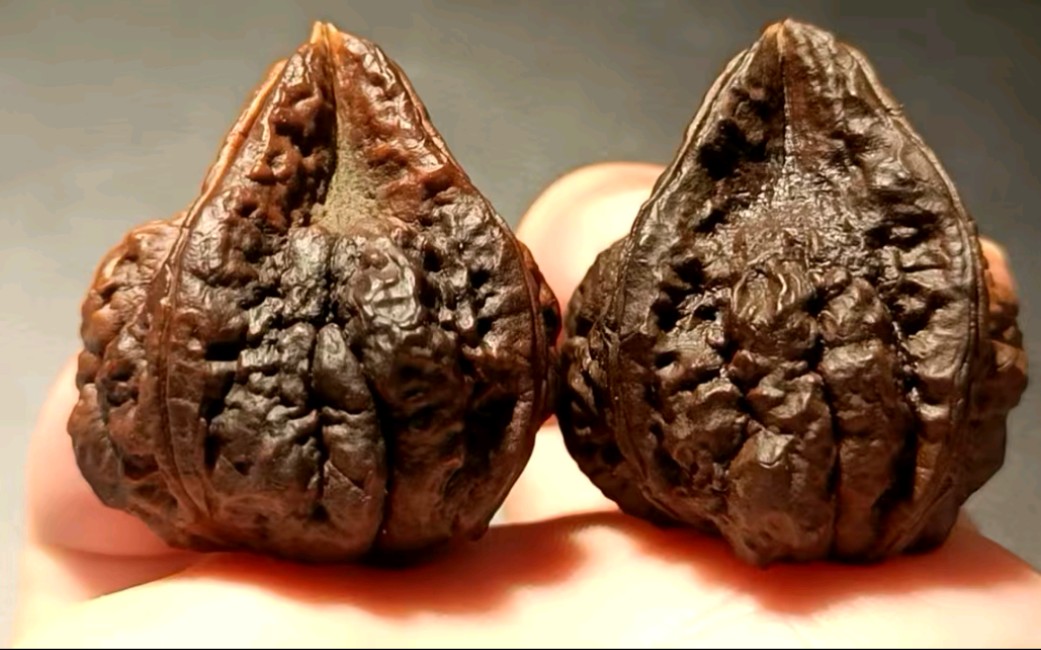 文玩核桃 34mm,金蟾塔三棱,矮桩平底,蟾型突出六面开背,天然阴皮.