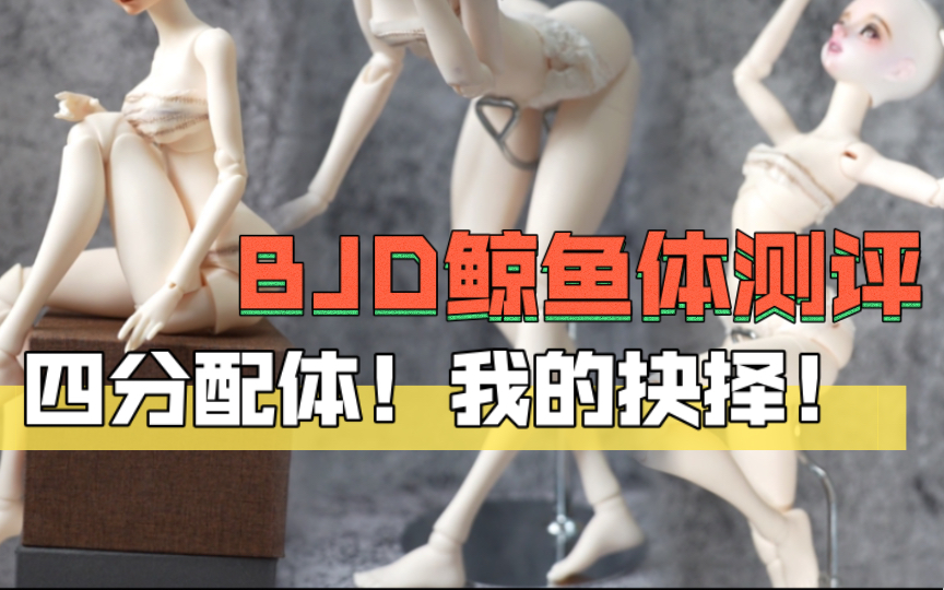 BJD 4分 珊瑚礁鲸鱼体|配头&自立性&可动性全测评哔哩哔哩bilibili