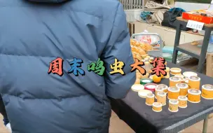 Tải video: 天津鸣虫大集时间