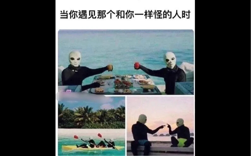 网络吊图30哔哩哔哩bilibili