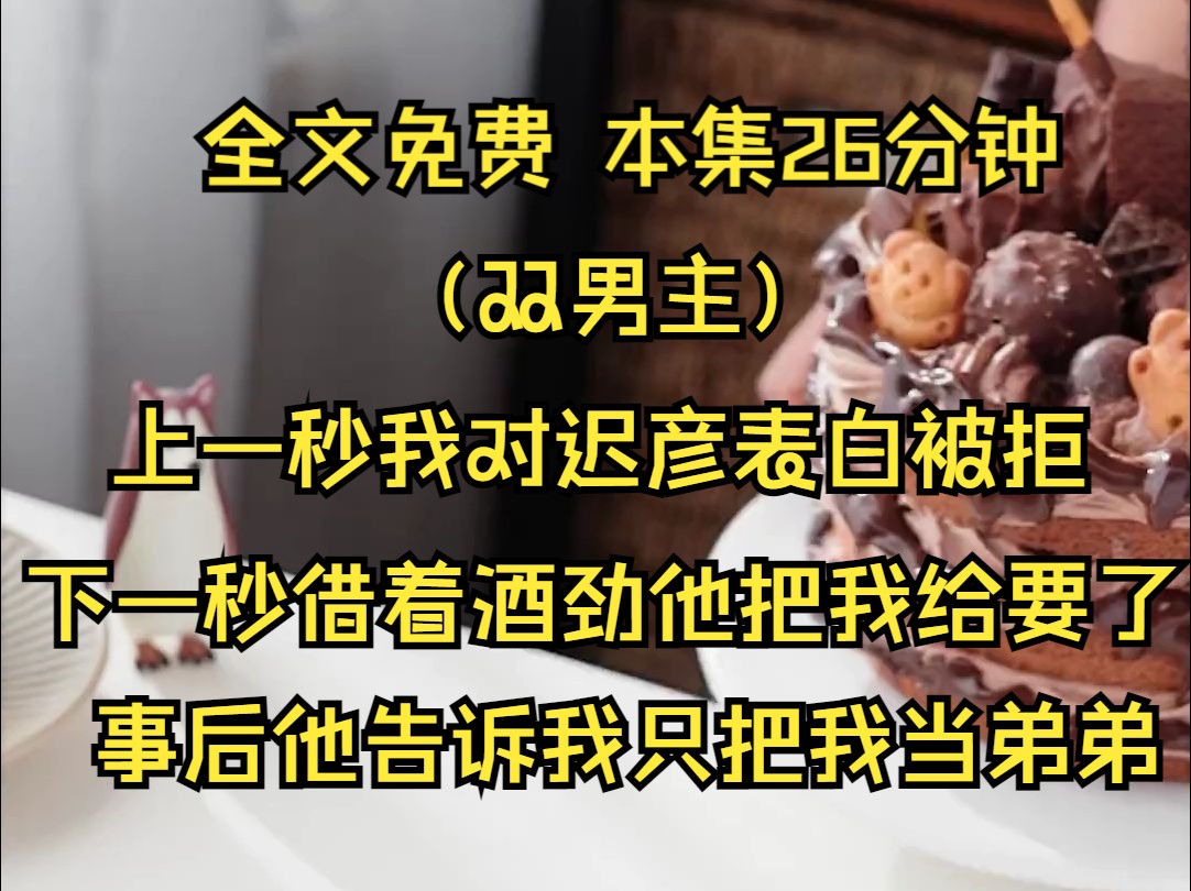 (双男主系列文)在我生日那天,上一秒我对迟彦表白被拒下一秒接着酒劲他把我给要了.第二天醒来对着满身暧昧痕迹的我脱口而出一句对不起我只把你当...