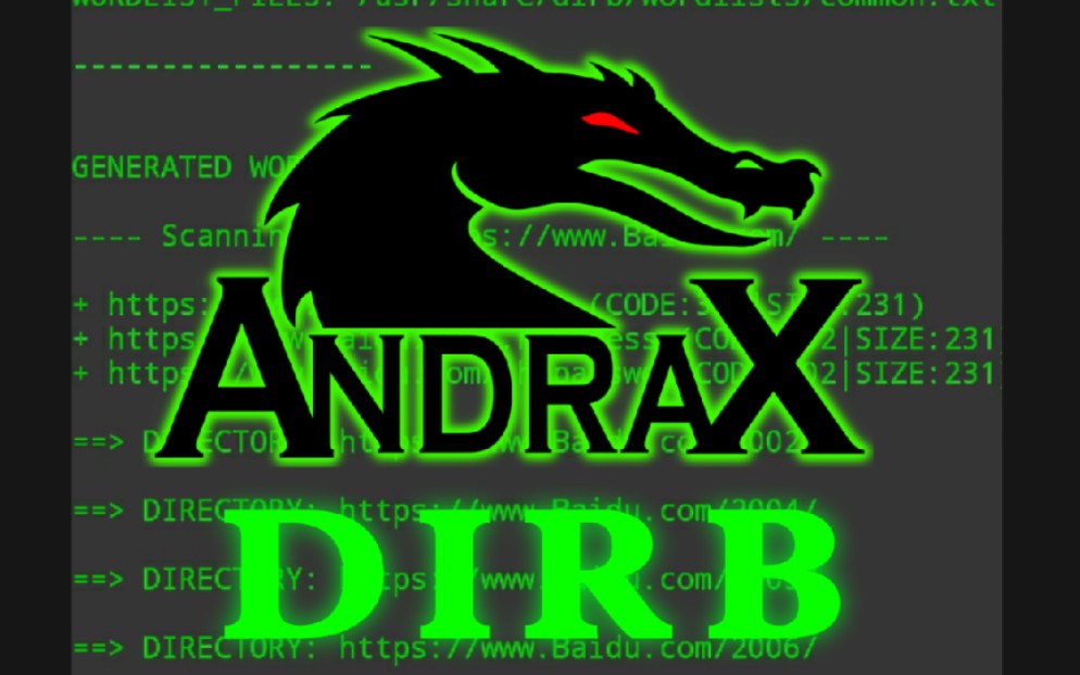 【ANDRAX教程】Dirb使用教程 && Dirb出错解决方法哔哩哔哩bilibili