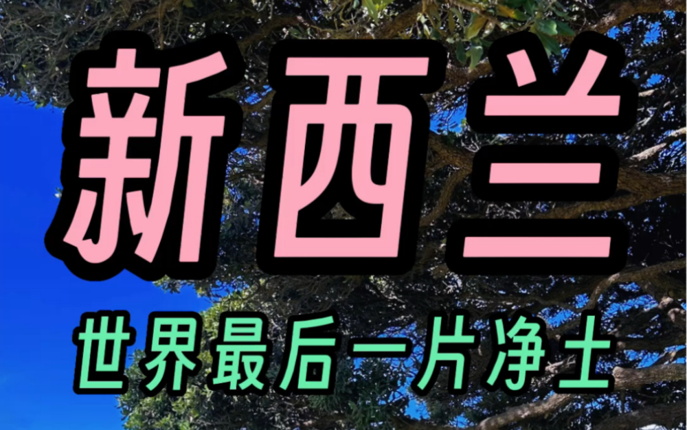 [图]新西兰留学日记｜朦胧诗人顾城故居所在的小岛，激流岛长什么样子？