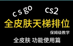 Télécharger la video: cs保姆级教学-《全皮肤》功能使用篇