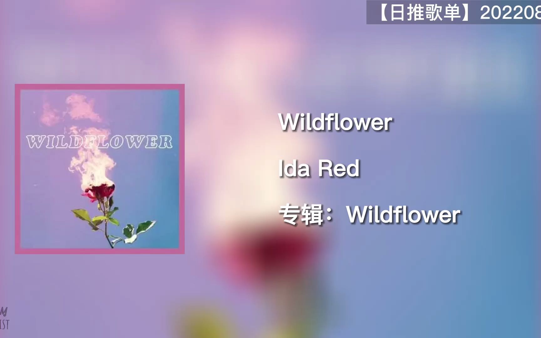 [图]日推歌单｜野花虽成千上万 但对我来说你最珍贵｜Wildflower｜220819