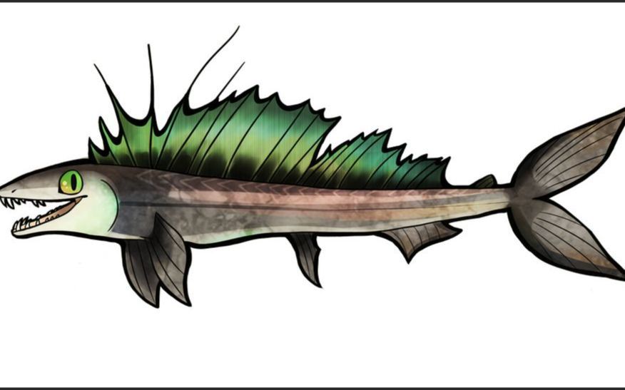 ff14解压视频,长吻帆蜥鱼第一视角(i is fish)_网络游戏热门视频