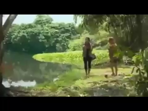 美女湖边拍照被鳄鱼吃掉