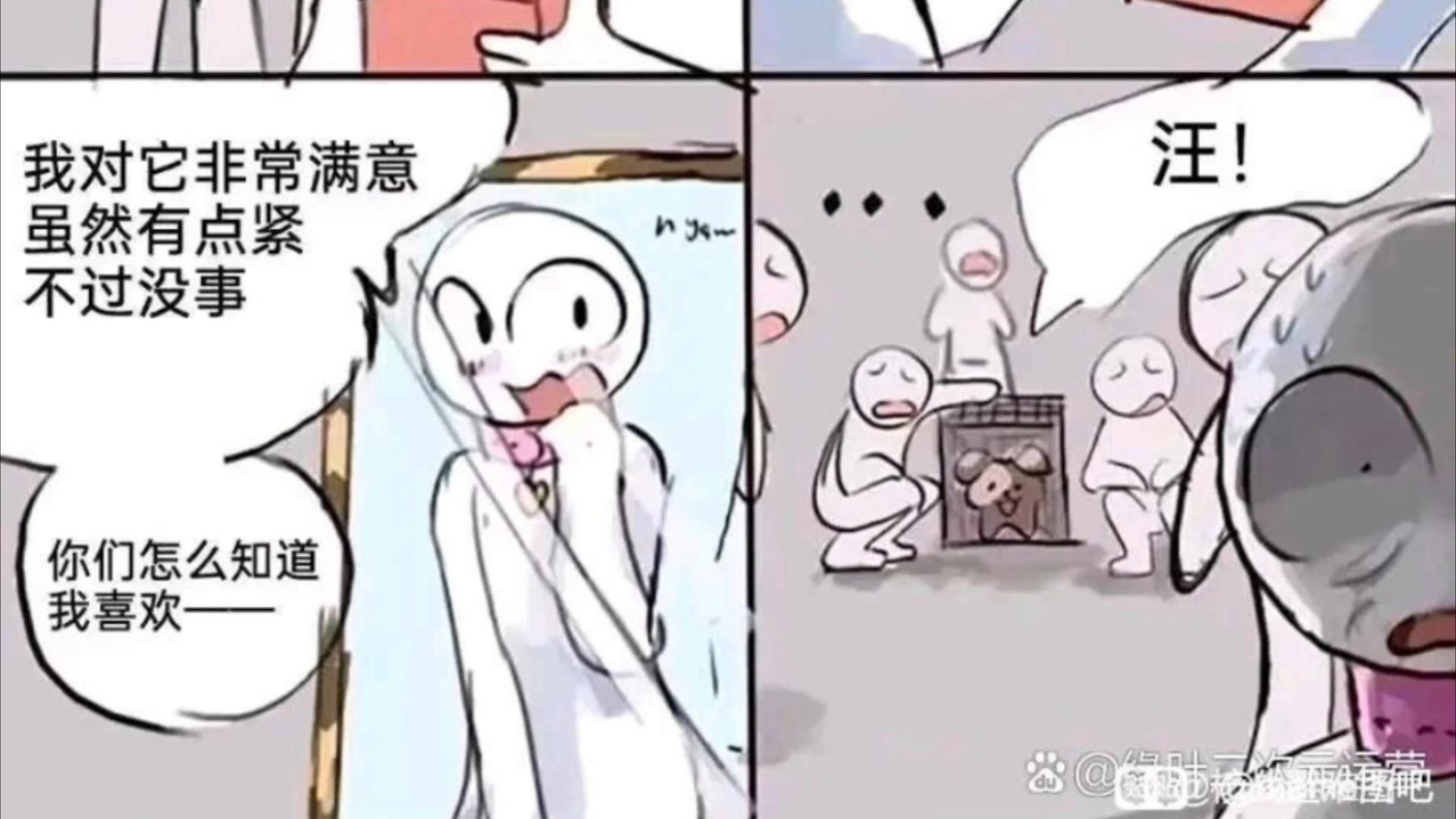 今日meme梗图 第十五期