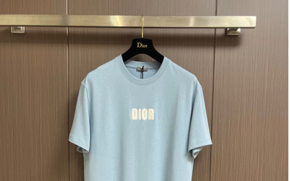 dior迪奥高仿2024春夏植绒毛圈刺绣标识短袖t恤