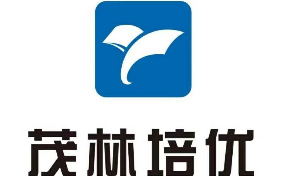 活动作品第一讲预习视频