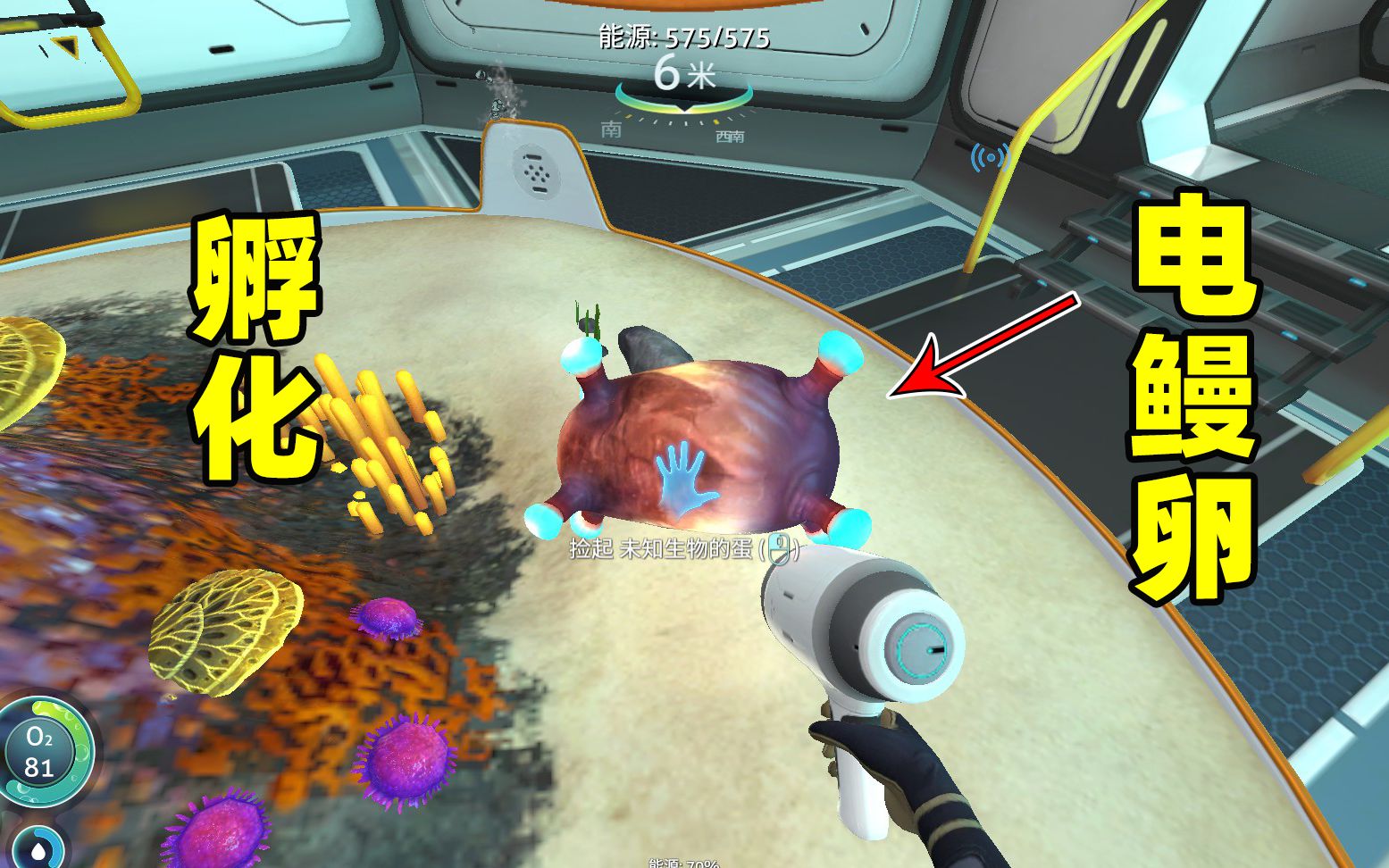 深海迷航26我孵出了一条小电鳗一发冲击炮打飞了