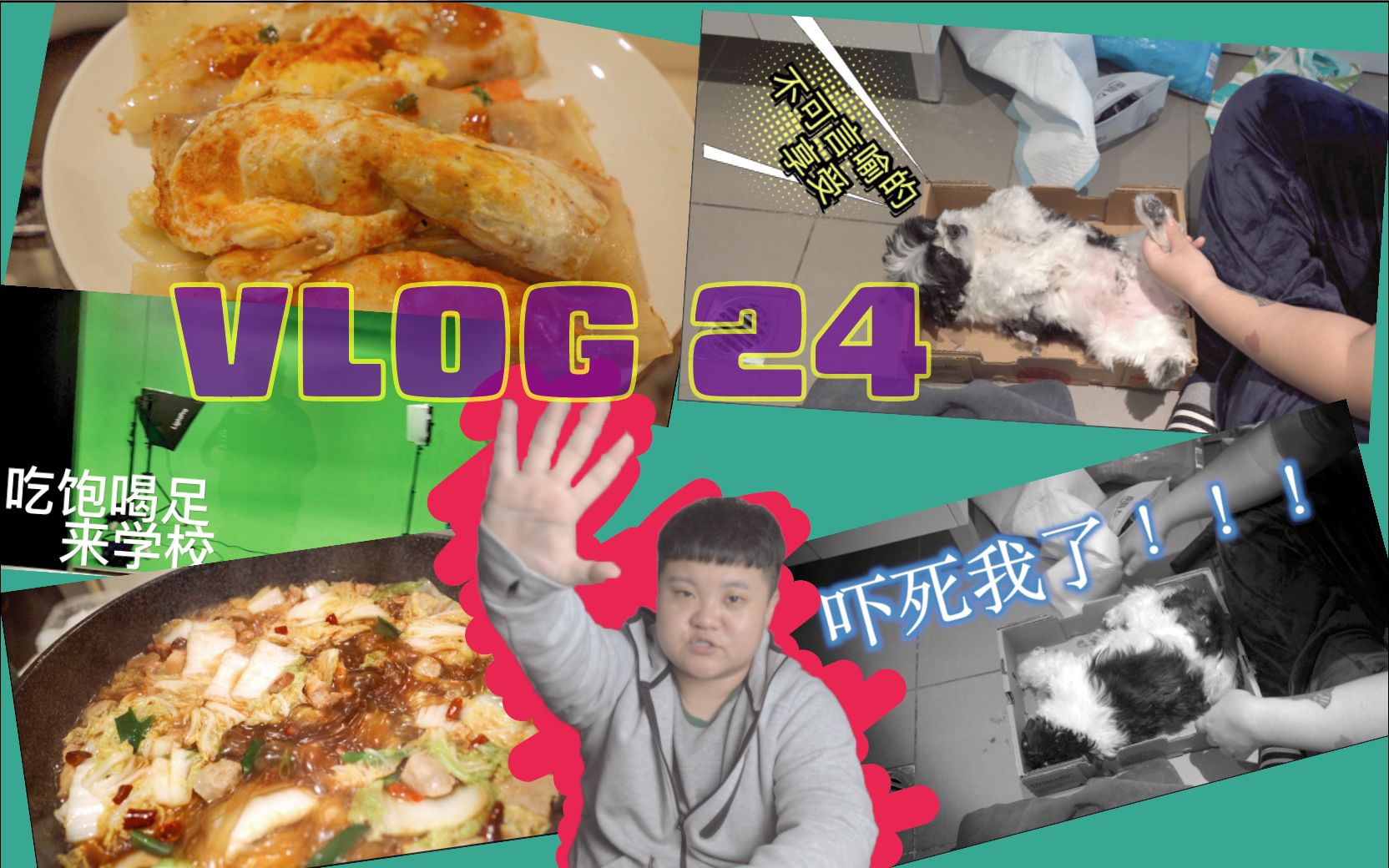 【悉尼小胖熊】Vlog 24/戏精狗家庭保健/自制烤冷面/晚课去学校/跟大家聊天/咕嘟咕的炖白菜哔哩哔哩bilibili