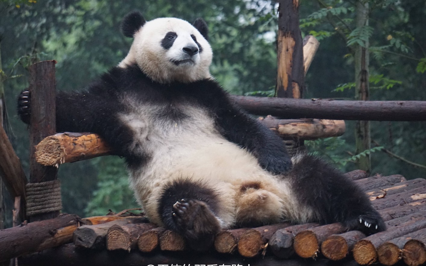 无敌是多么寂寞!