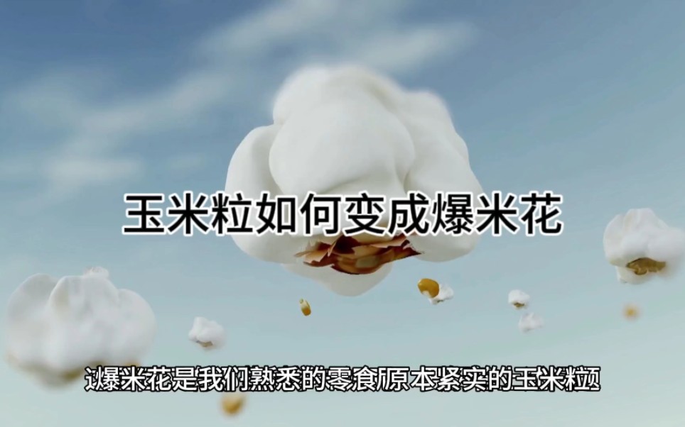 小小的玉米粒如何变成爆米花的,爆米花的制作原理你知道吗?