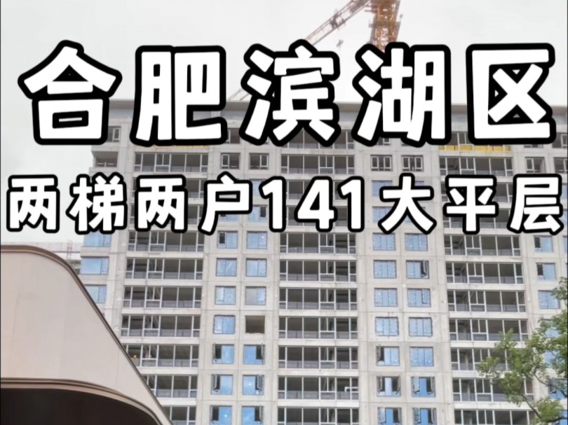 合肥滨湖区金斗公园旁万慈小学嘉陵江路四十八中141两梯两户大平层#合肥大平层哔哩哔哩bilibili