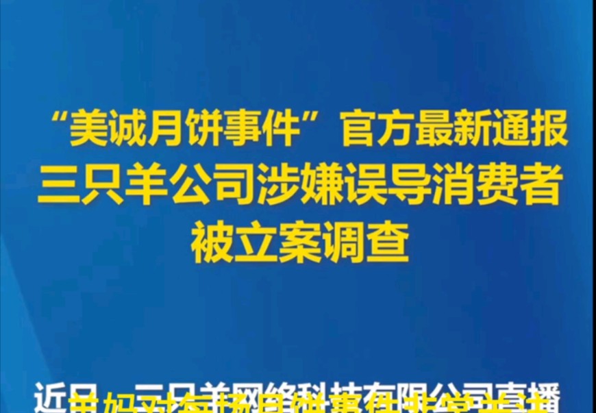 三只羊网络正式被合肥市立案调查!并且开始扫黑除恶哔哩哔哩bilibili