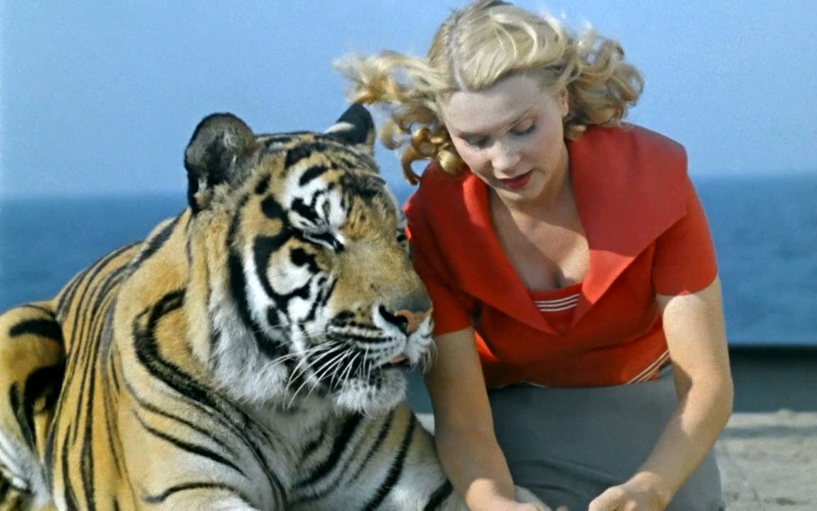 喜剧电影《运虎记》