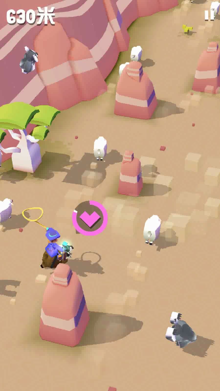 活动作品疯狂动物园澳洲系列野蛮绵羊如何抓捕