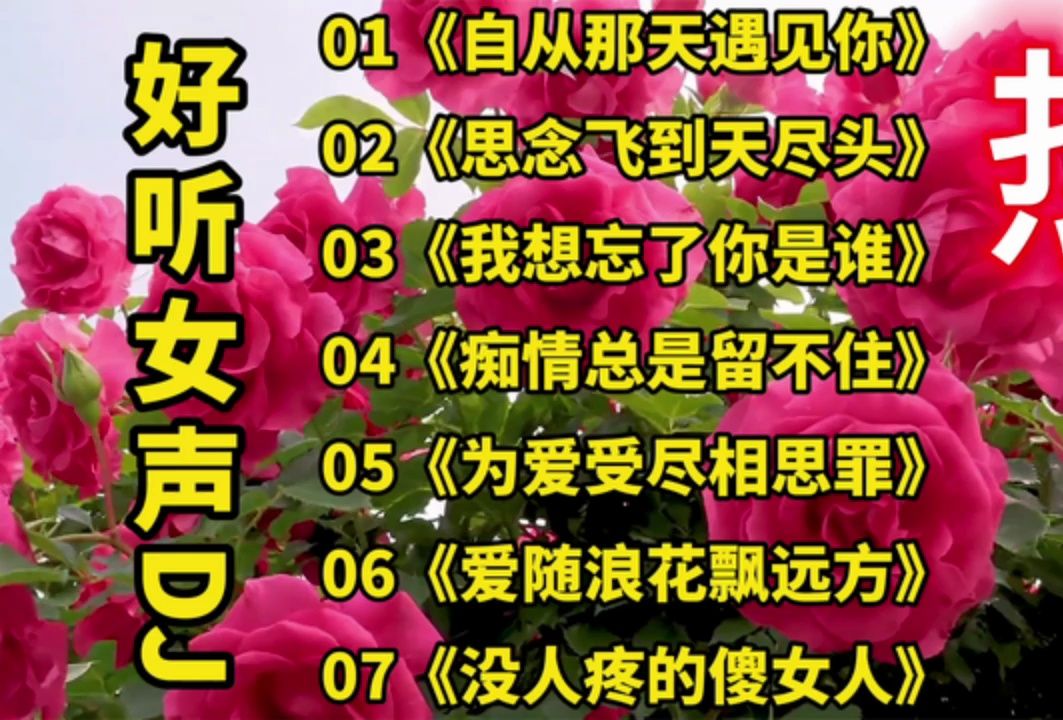 [图]《自从那天遇见你》 《思念飞到天尽头》 《我想忘了你是谁》 《痴情总是留不住》 《为爱受尽相思罪》 《爱随浪花飘远方》 《没人疼的傻女人》 好听女声