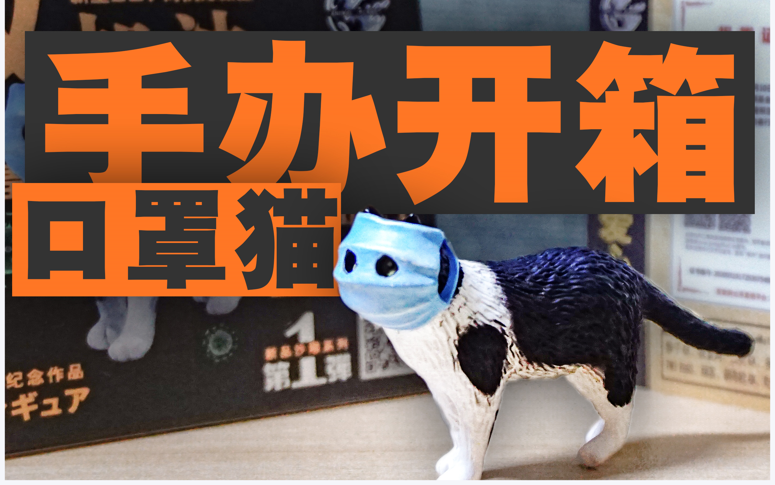 动物星球ap 口罩猫手办开箱